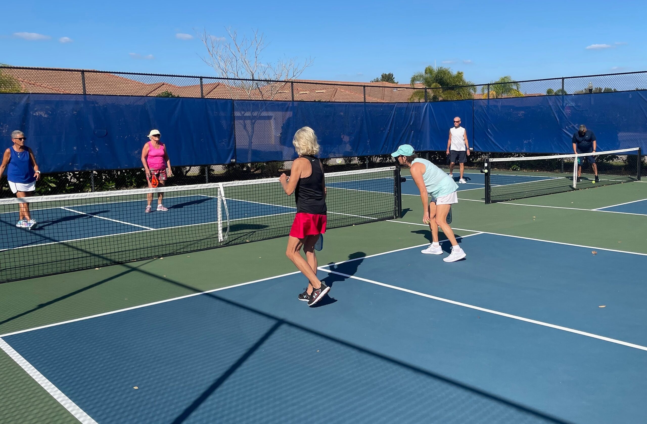 Pickleball Action Picture